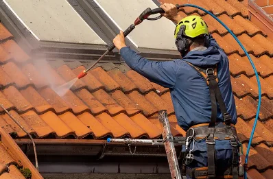 Démoussage et hydrofuge de toiture à Masos